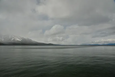 DSC_6779 (Large).JPG